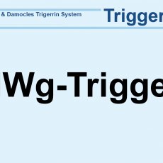 HWg-Trigger